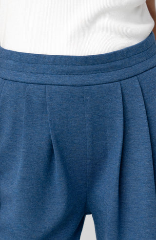 Liverpool Pull-On Pleated Wide Leg Pant